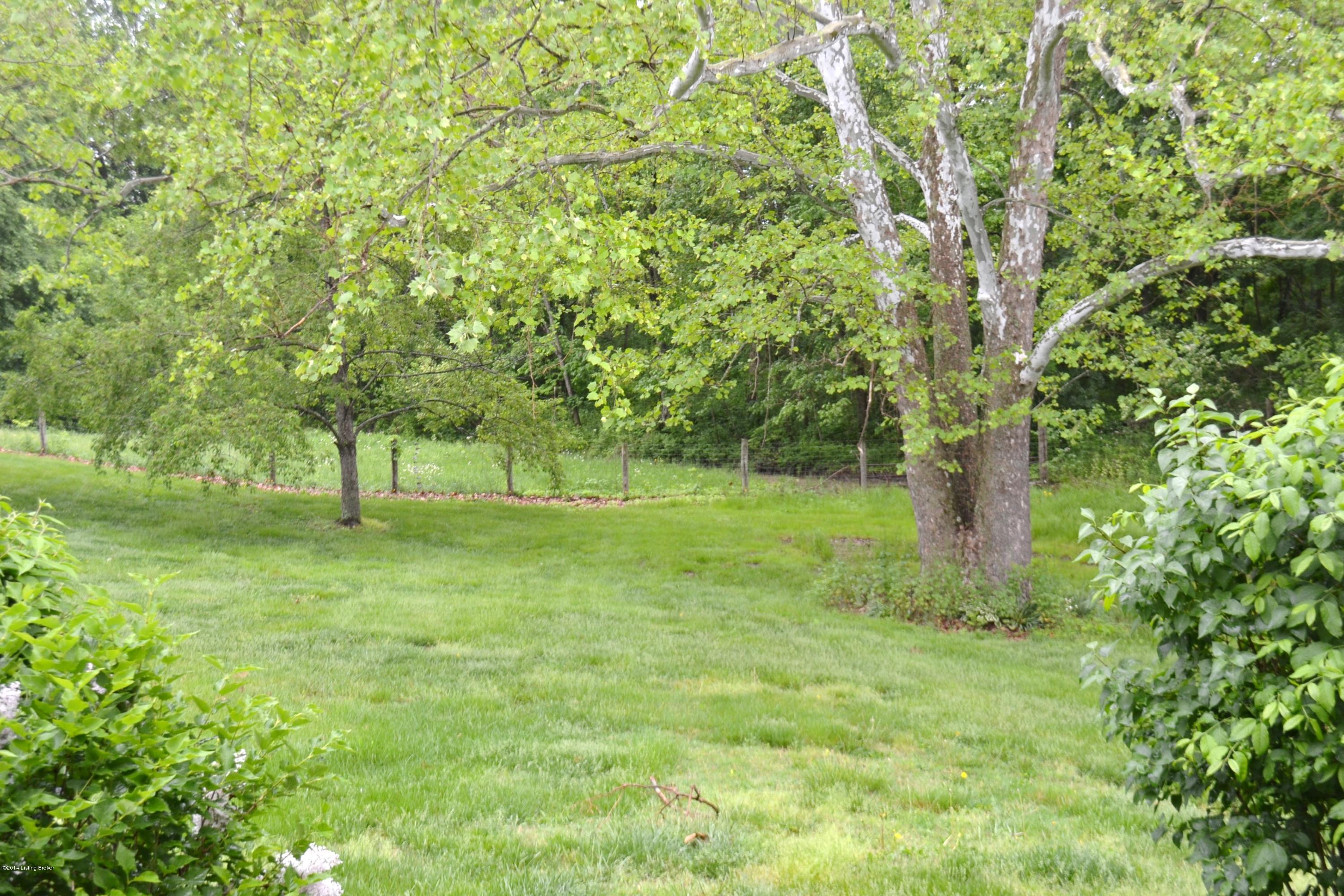 46 Mahuron Road Simpsonville, KY 40067 - Photo 25 of 31 DSC_0796