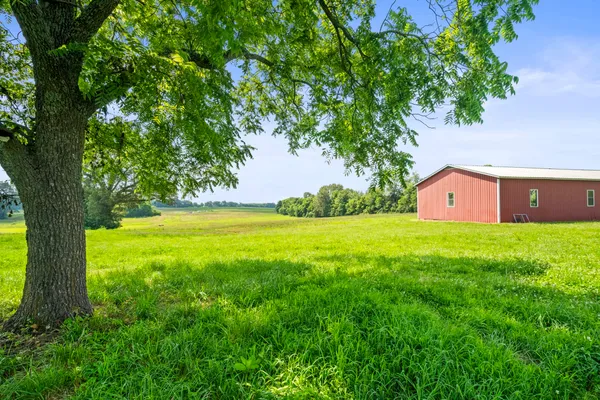a view of a garden with a tree