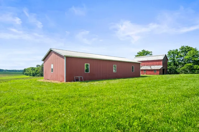 a view of a backyard with potted plants and large tree