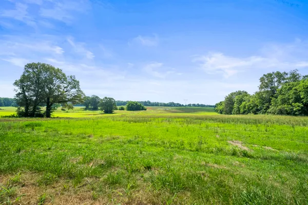 a view of a green field