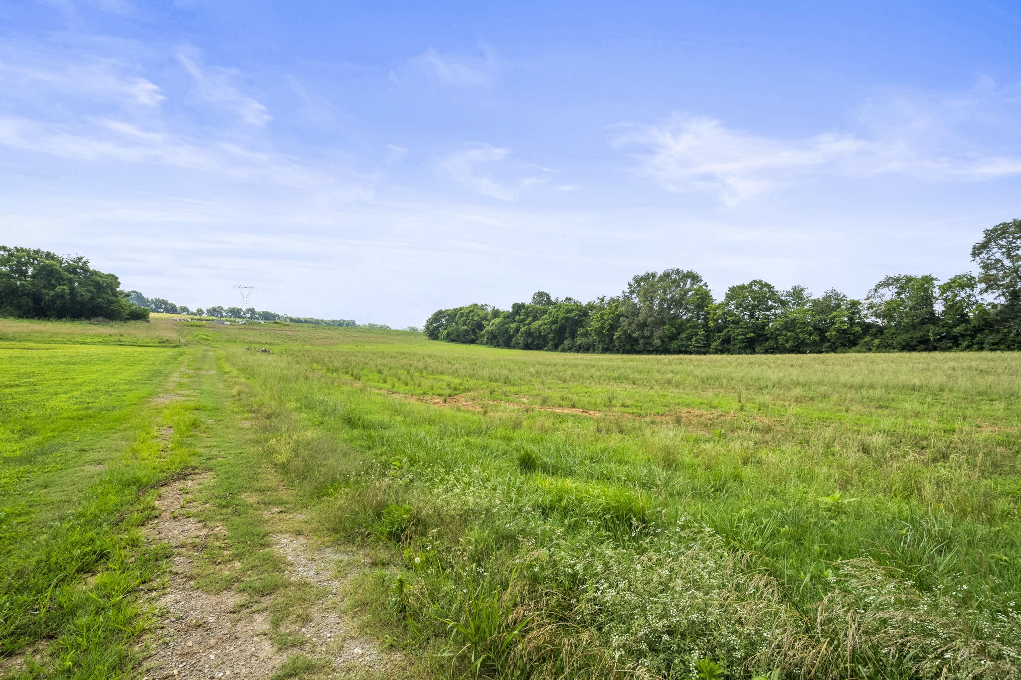 4635 Hwy 431 N Springfield Tn 37172 North Springfield, TN 37172 - Photo 21 of 30 a view of a green field with wooden fence