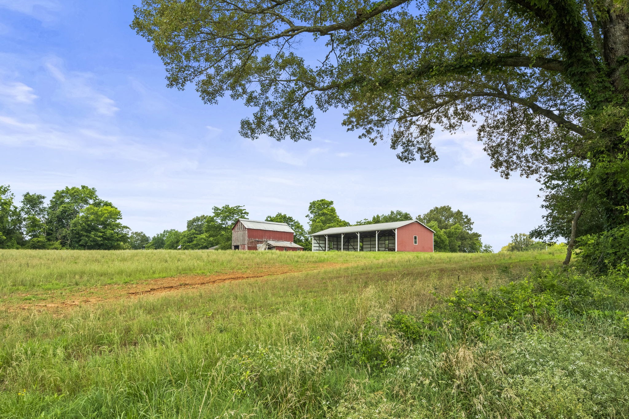 4635 Hwy 431 N Springfield Tn 37172 North Springfield, TN 37172 - Photo 22 of 30 a view of a yard with an outdoor space