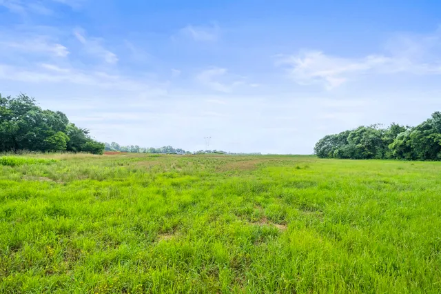 a view of an ocean from a yard