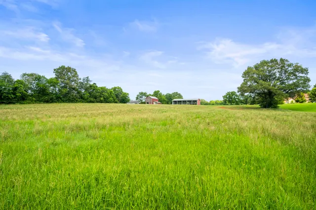 a view of yard with swimming pool and trees in the background