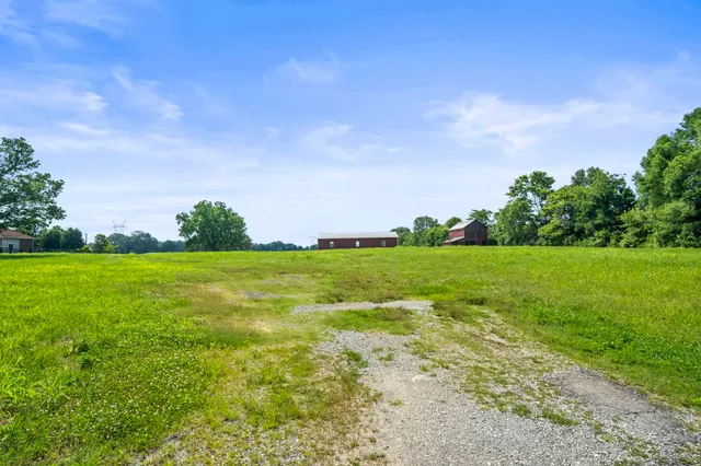 a view of yard with green space