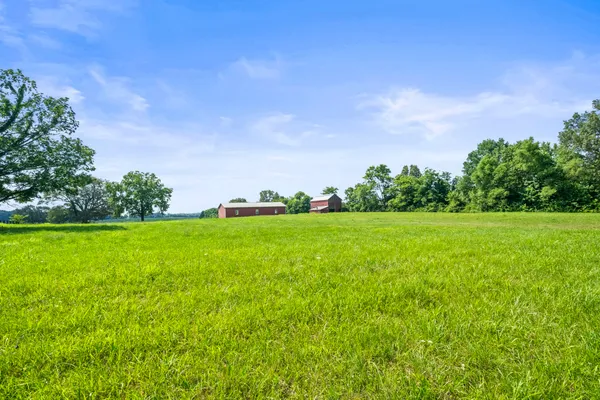 a view of green field with clear sky