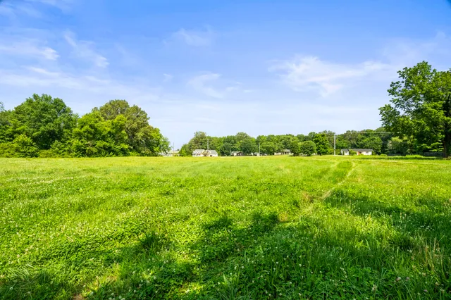 a view of a green field with lots of bushes