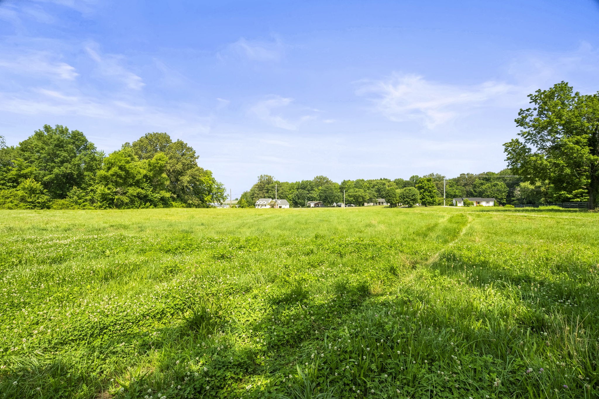 4635 Hwy 431 N Springfield Tn 37172 North Springfield, TN 37172 - Photo 8 of 30 a view of a green field with lots of bushes