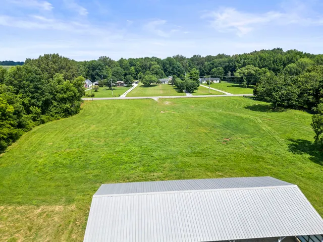 a view of a grassy area with an trees