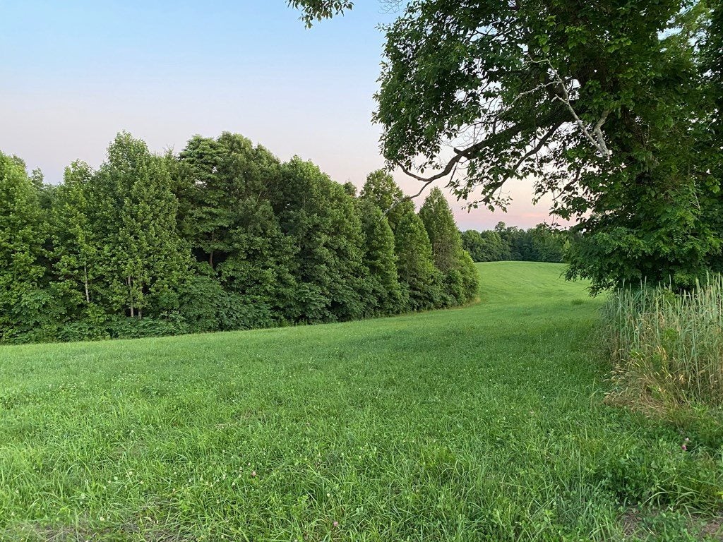 38-ac Independence Ridge Road Breeding, KY 42715 - Photo 8 of 10 Gallery Image 8
