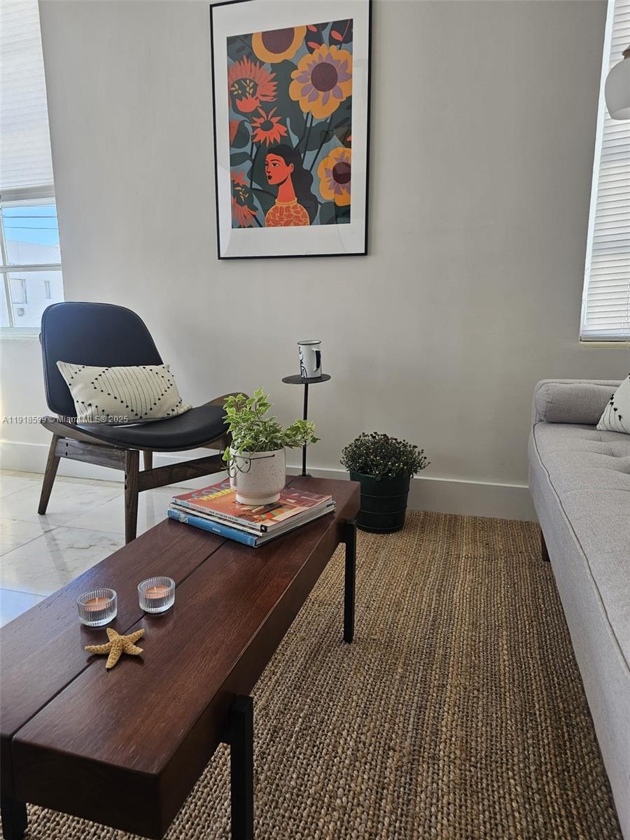801 8th Street, Unit 201 Miami Beach, FL 33139 - Photo 7 of 37 a living room with furniture and a rug
