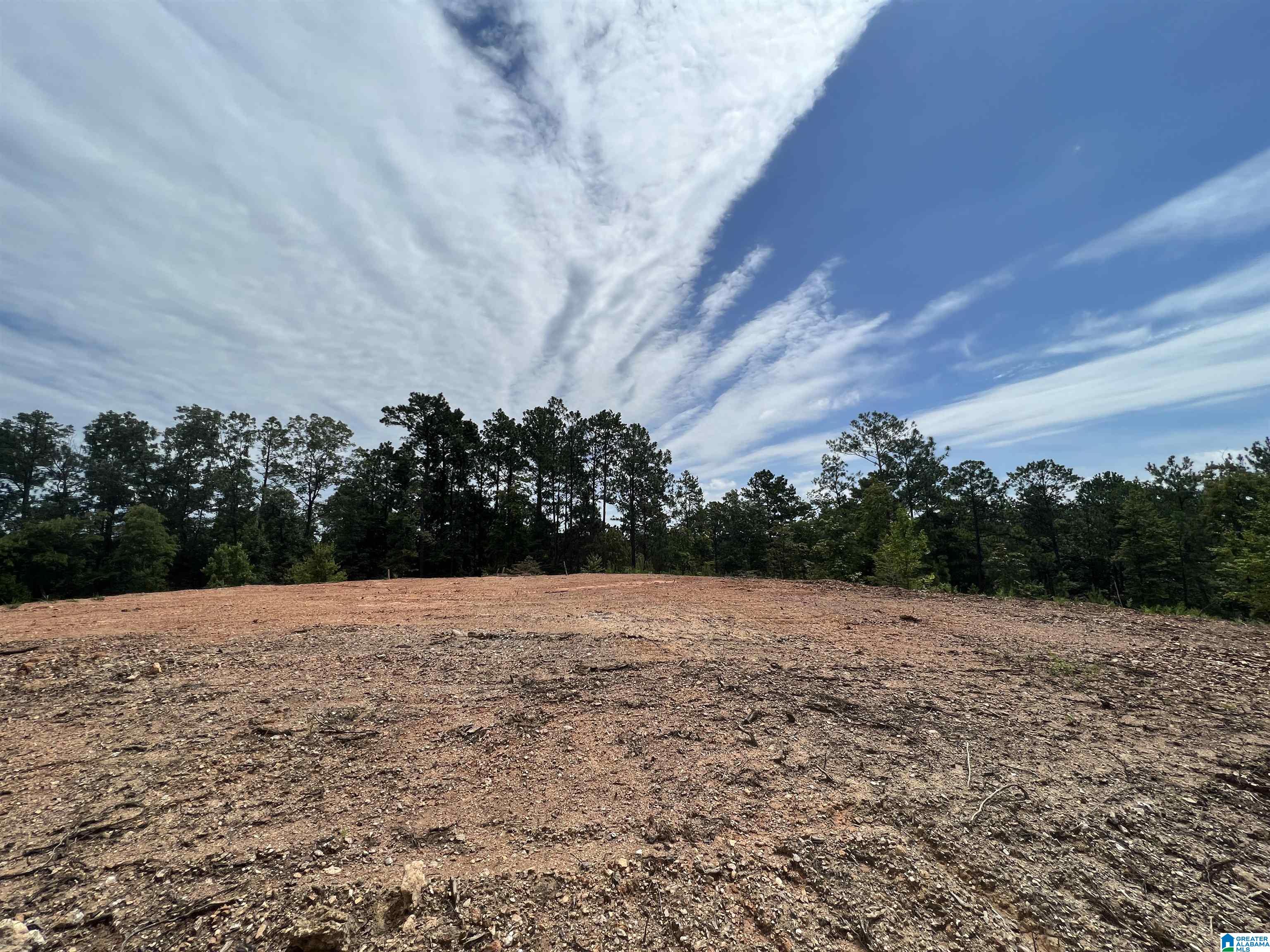 0 County Road 188 Clanton, AL 35046 - Photo 6 of 20