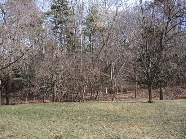 470 Chestnut Street Needham, MA 02492 - Photo 25 of 26 Gallery Image 25