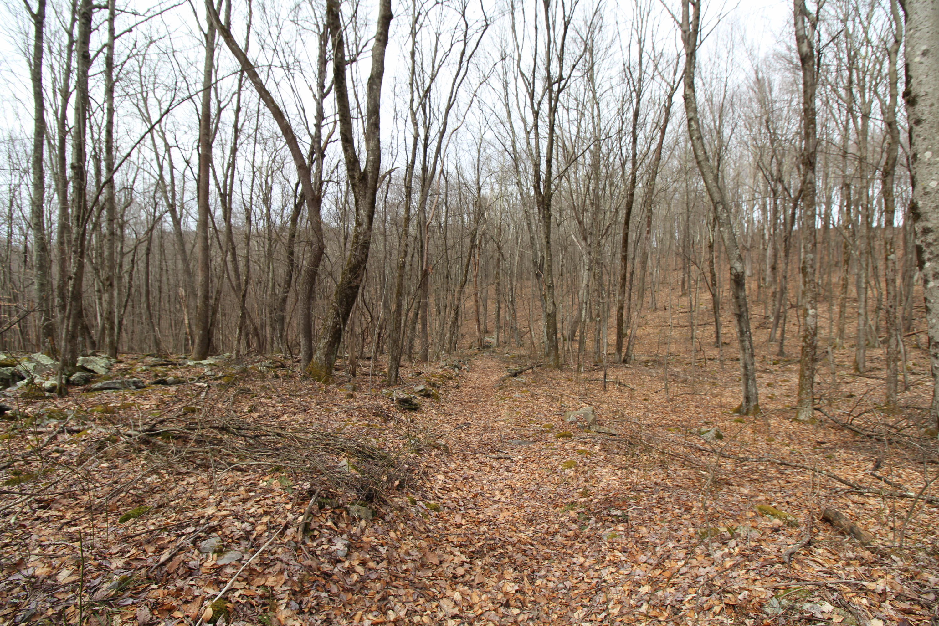 1357 Chestnut Mountain Road Hinton, WV 25951 - Photo 28 of 32 Gallery Image 28