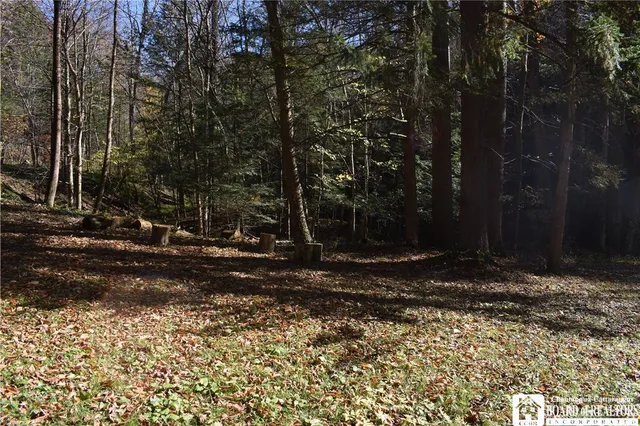 $69,900 | 3157 Ball Road, Arkwright, NY 14063