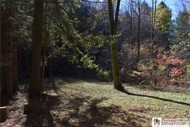 $69,900 | 3157 Ball Road, Arkwright, NY 14063