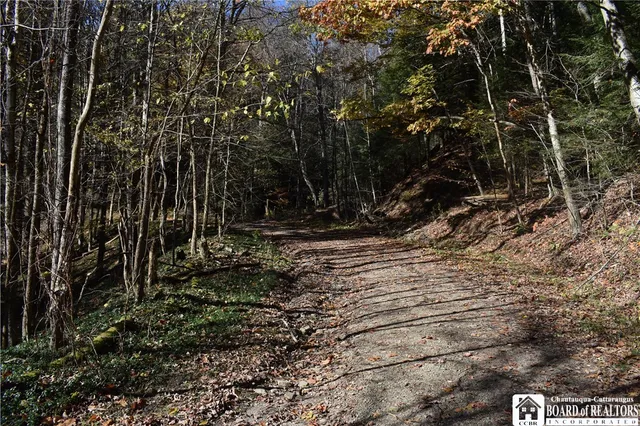 $69,900 | 3157 Ball Road, Arkwright, NY 14063