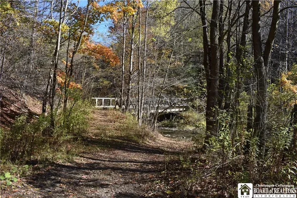 $69,900 | 3157 Ball Road, Arkwright, NY 14063
