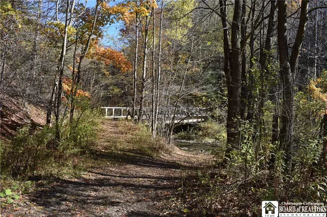 $69,900 | 3157 Ball Road, Arkwright, NY 14063