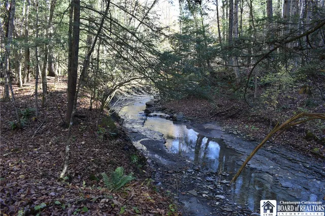 $69,900 | 3157 Ball Road, Arkwright, NY 14063