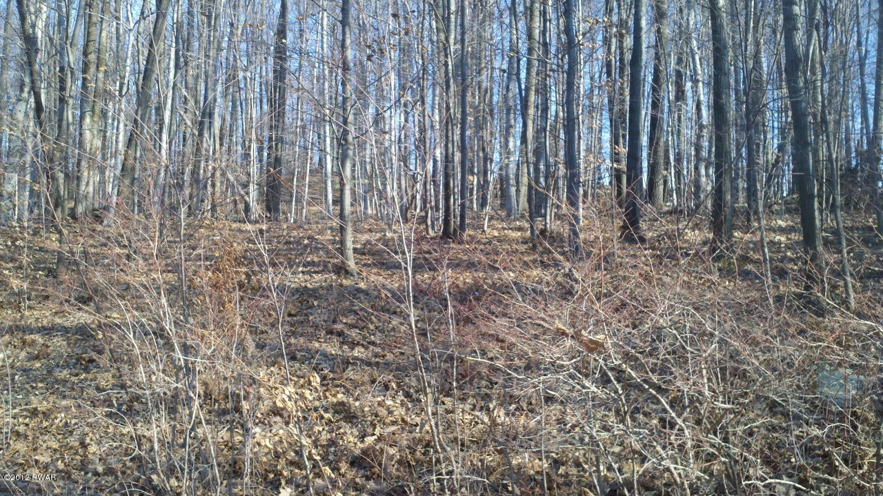 5 Forever Green Road Lakeville, PA 18438 - Photo 2 of 9
