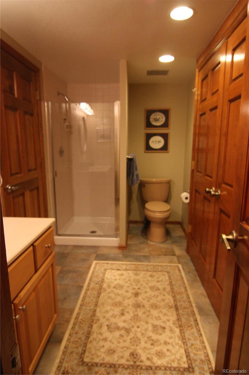 8435 Sweet Water Road Lone Tree, CO 80124 - Photo 11 of 24 a bathroom with a toilet and a shower