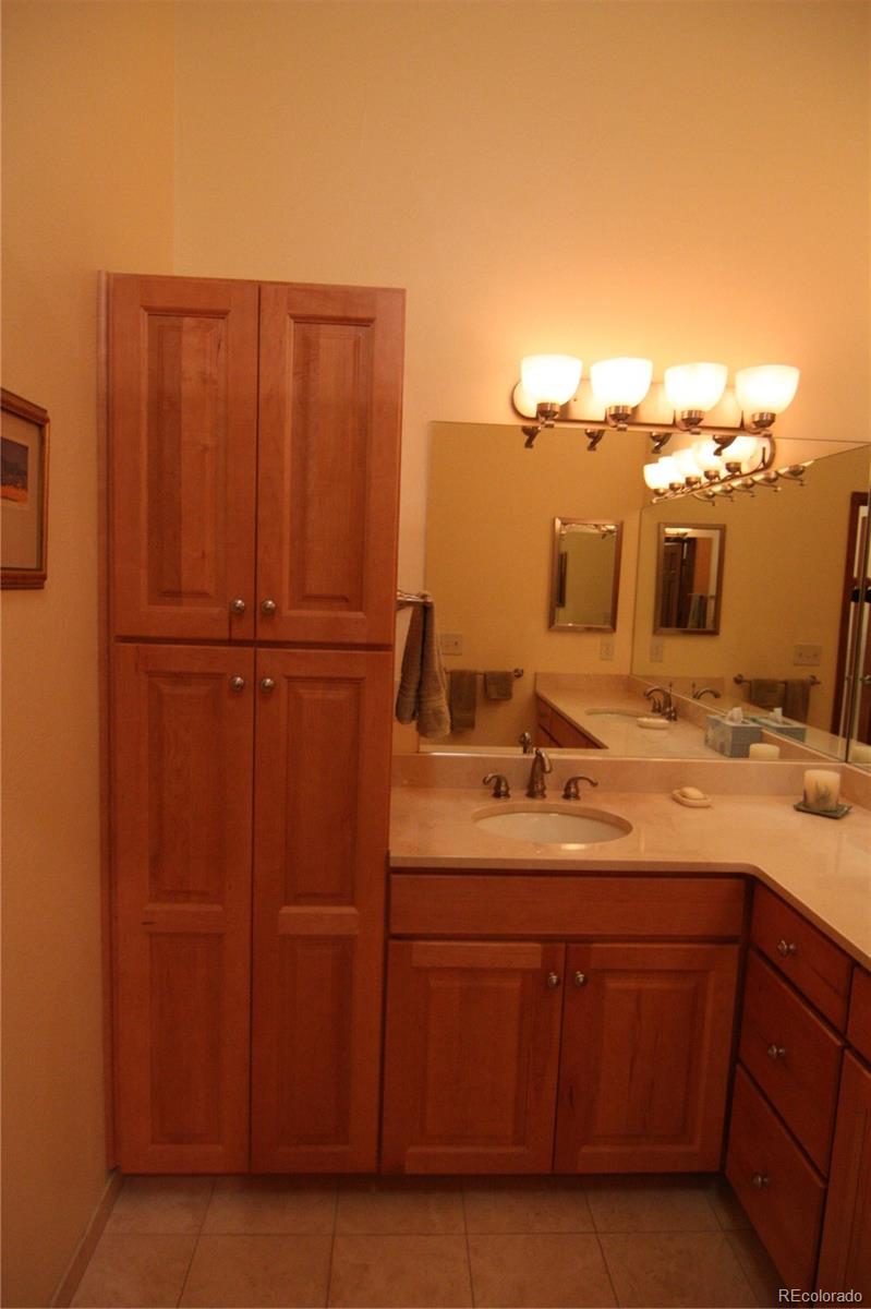 8435 Sweet Water Road Lone Tree, CO 80124 - Photo 16 of 24 a bathroom with a sink and a mirror