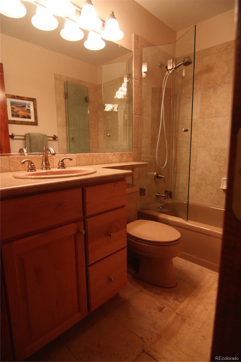 8435 Sweet Water Road Lone Tree, CO 80124 - Photo 21 of 24 a bathroom with a toilet a sink and mirror