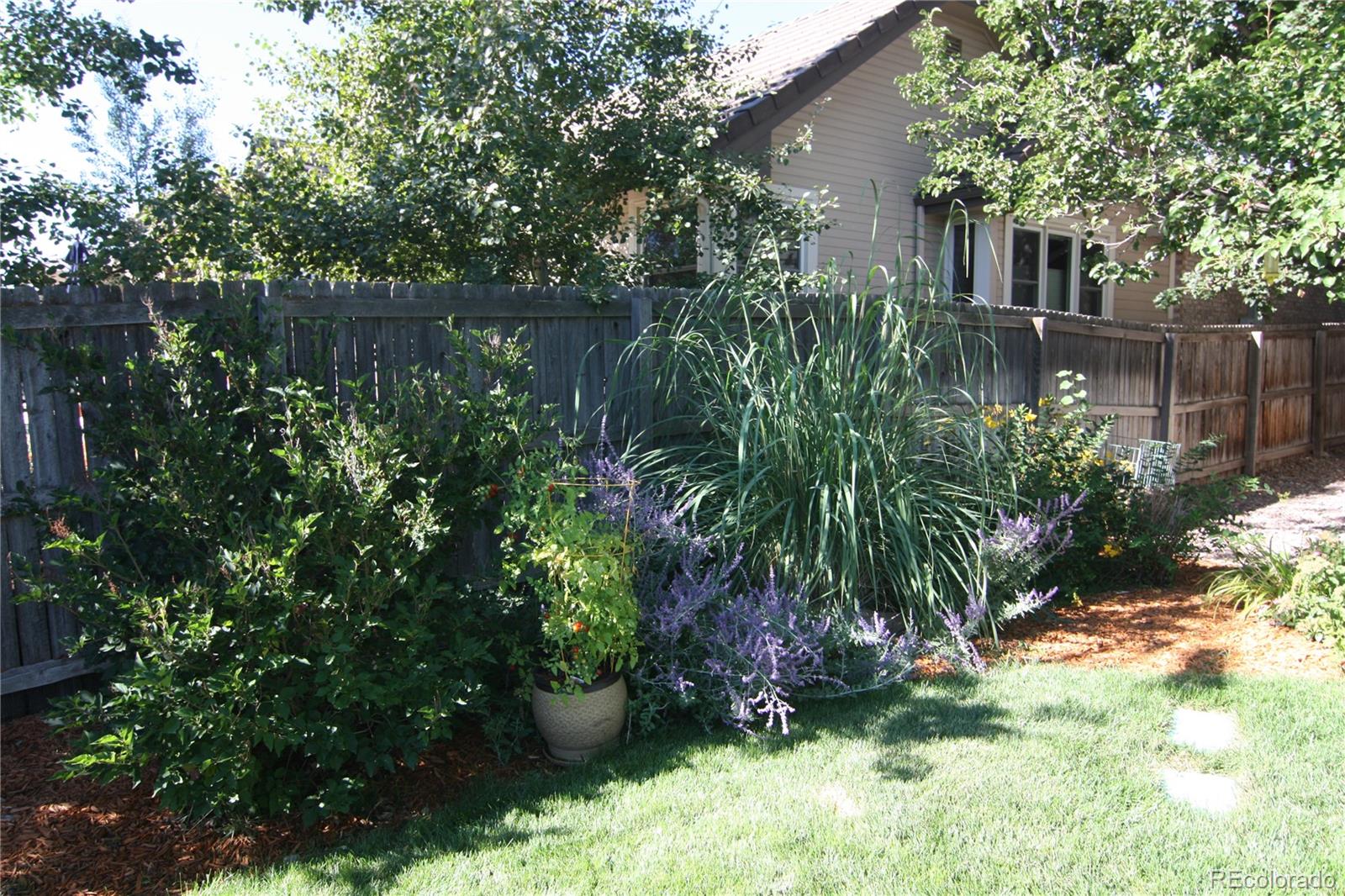 8435 Sweet Water Road Lone Tree, CO 80124 - Photo 24 of 24 a view of a garden with a lake