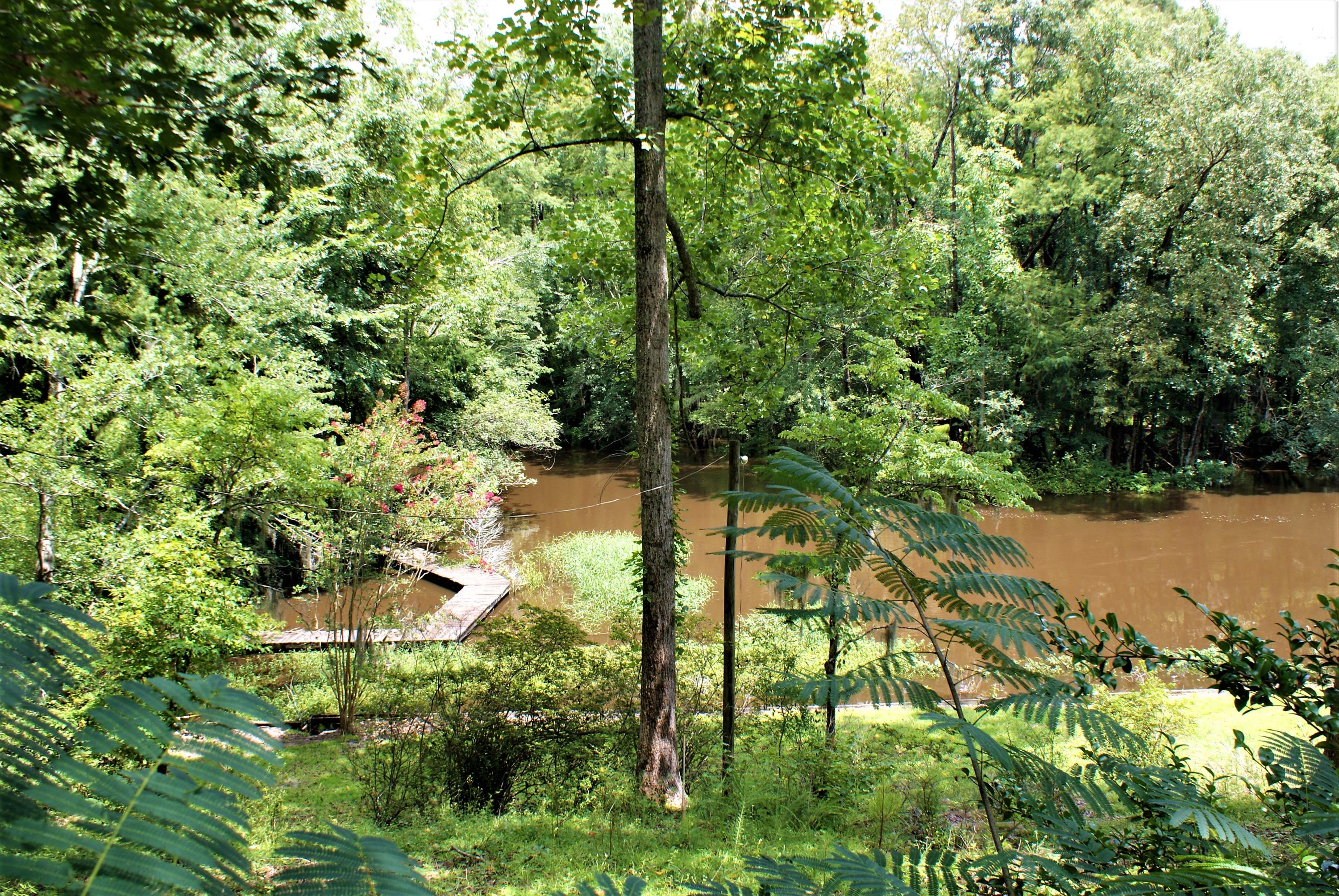 215 Bonanza Road Denmark, SC 29042 - Photo 1 of 41 River View