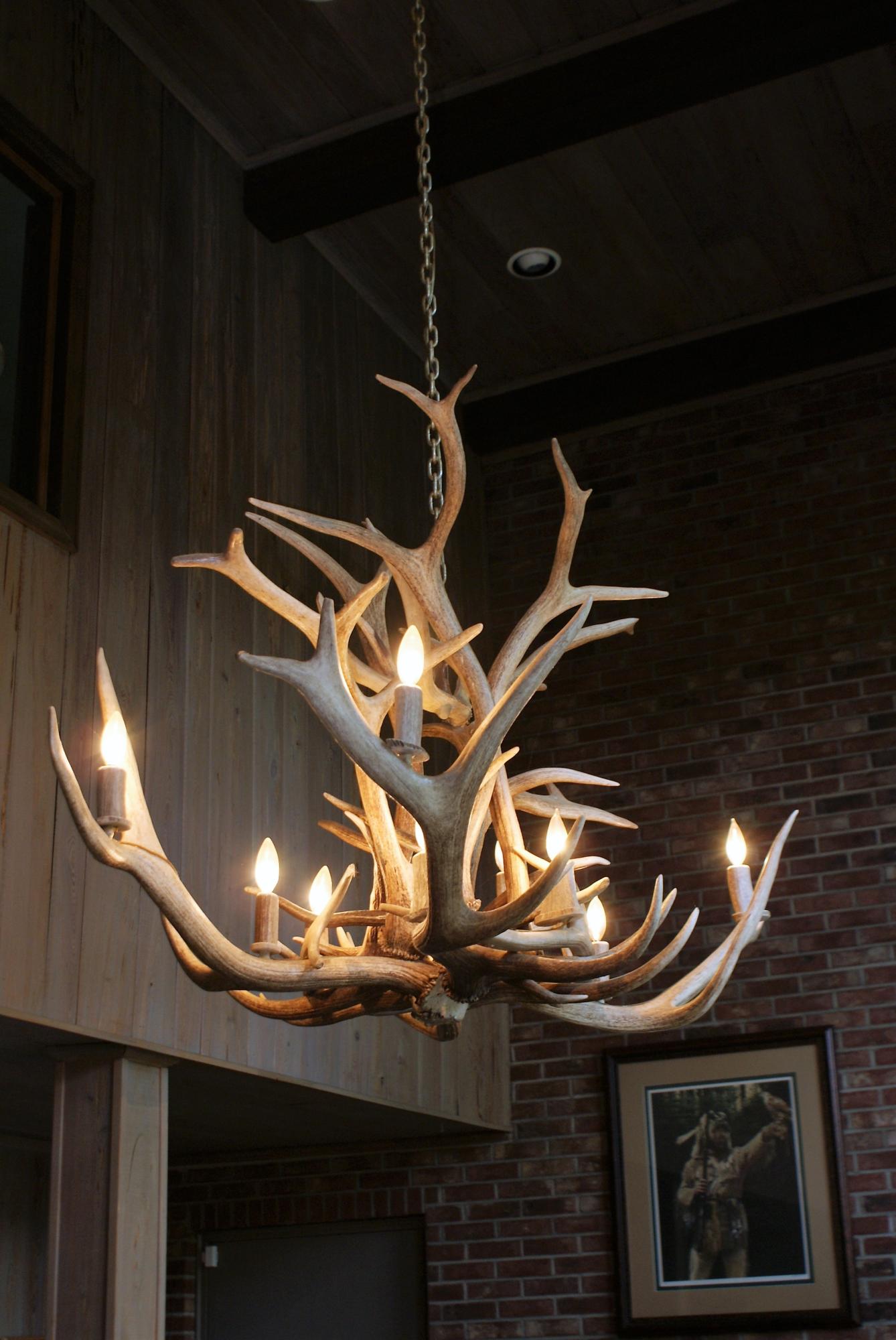 215 Bonanza Road Denmark, SC 29042 - Photo 12 of 41 Antler Chande
