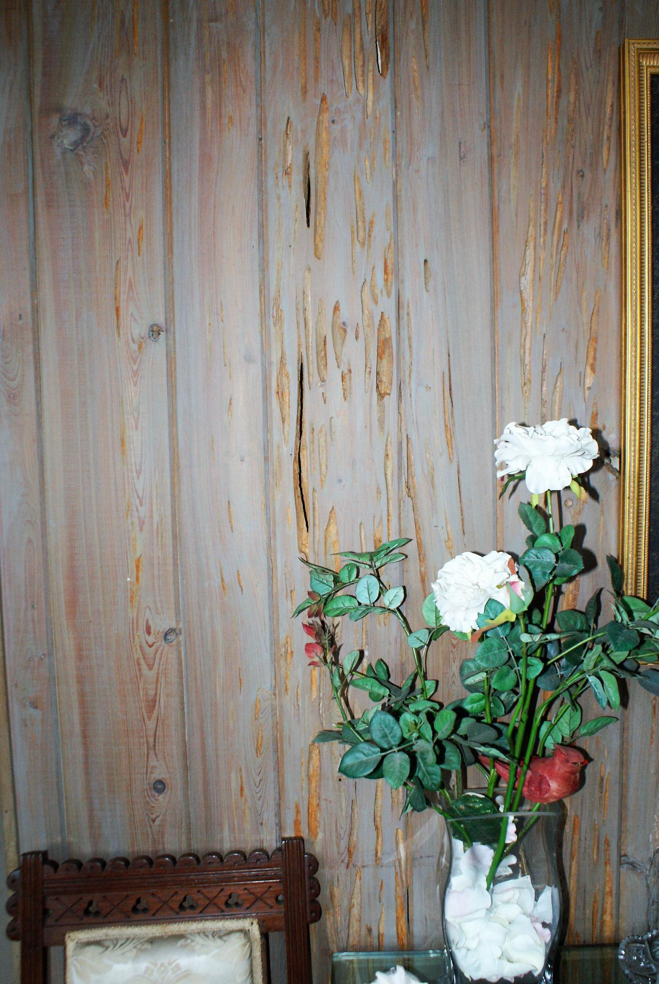 215 Bonanza Road Denmark, SC 29042 - Photo 13 of 41 Pecky Cypress Paneling