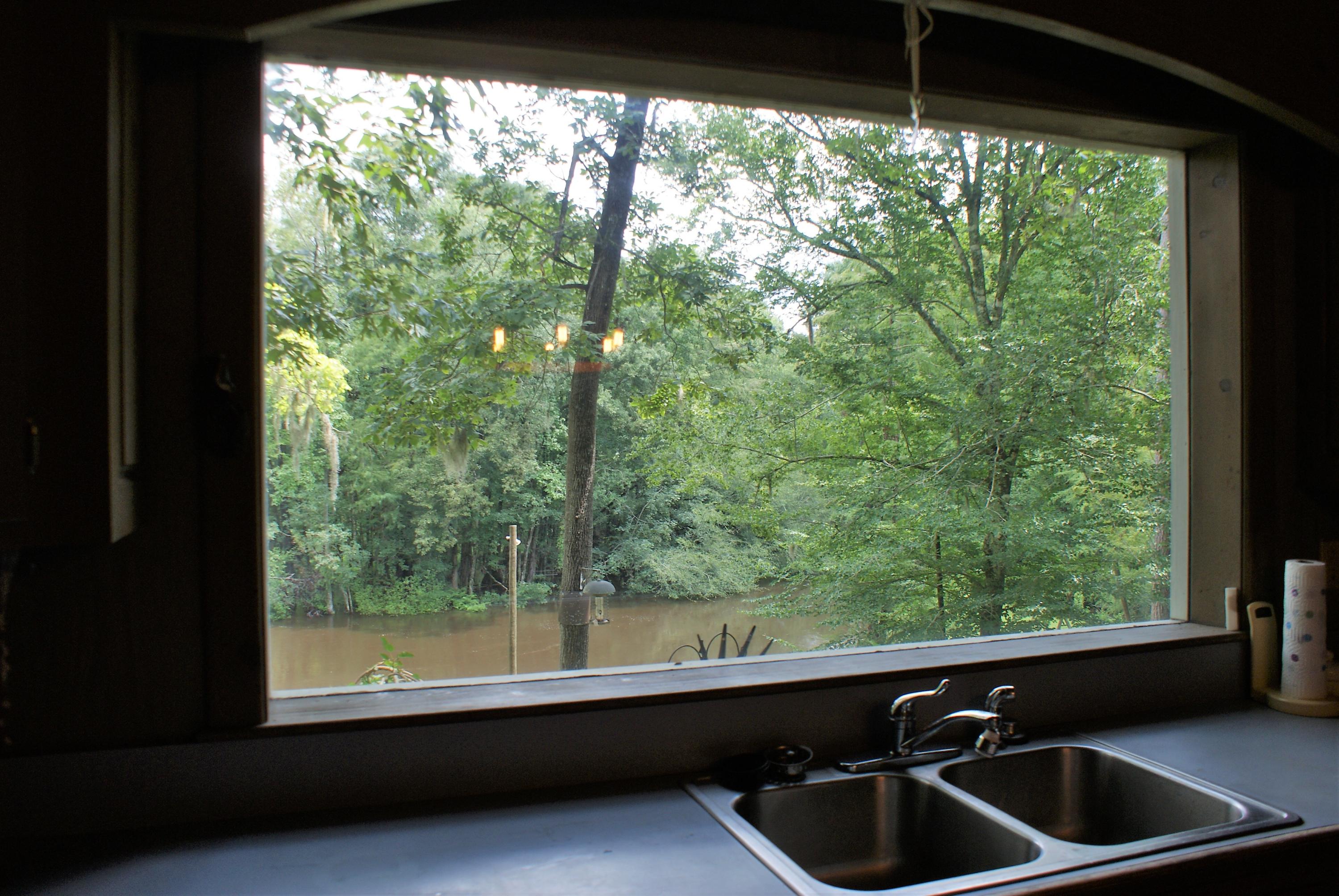 215 Bonanza Road Denmark, SC 29042 - Photo 18 of 41 View From the Kitchen Window
