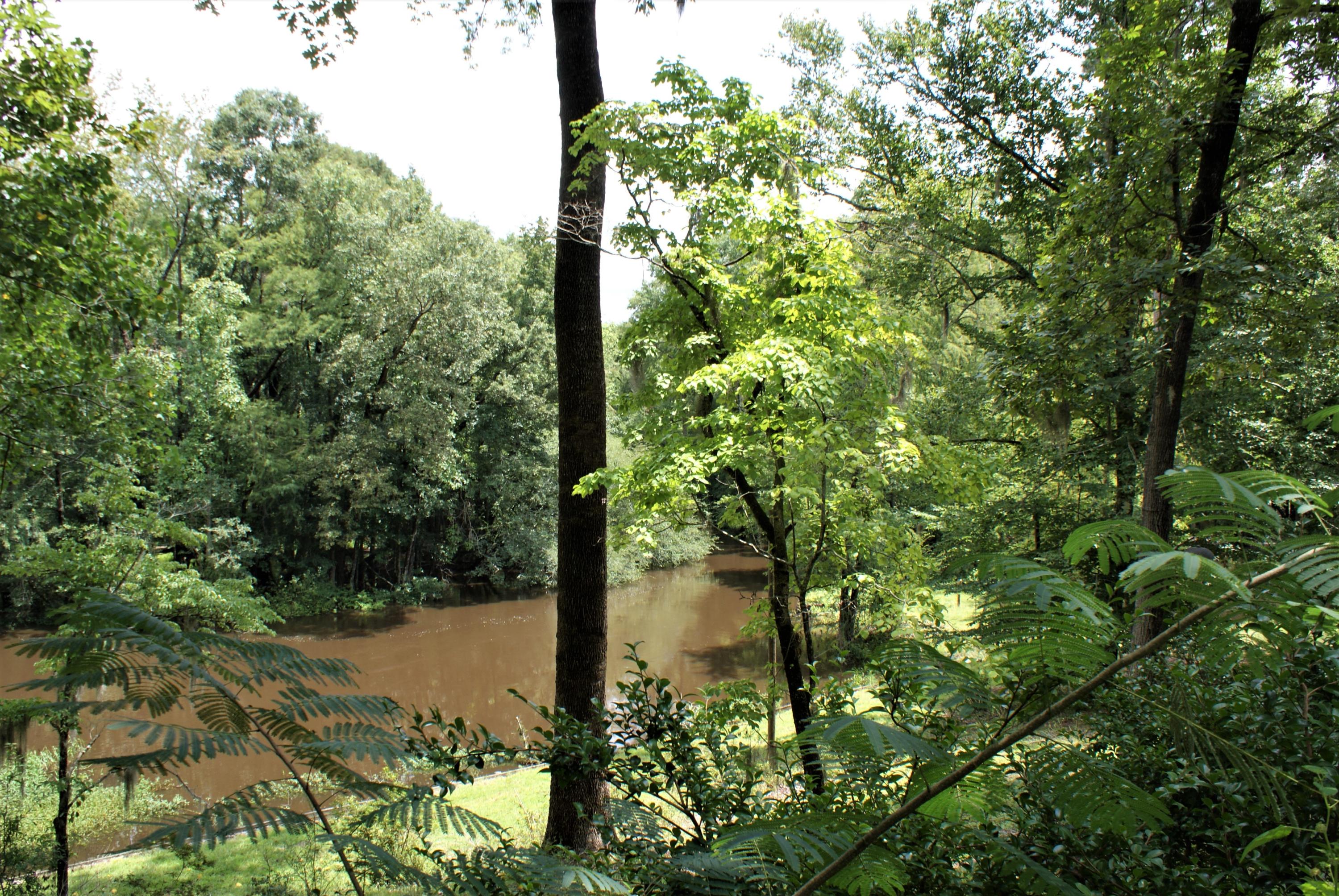 215 Bonanza Road Denmark, SC 29042 - Photo 21 of 41 River View