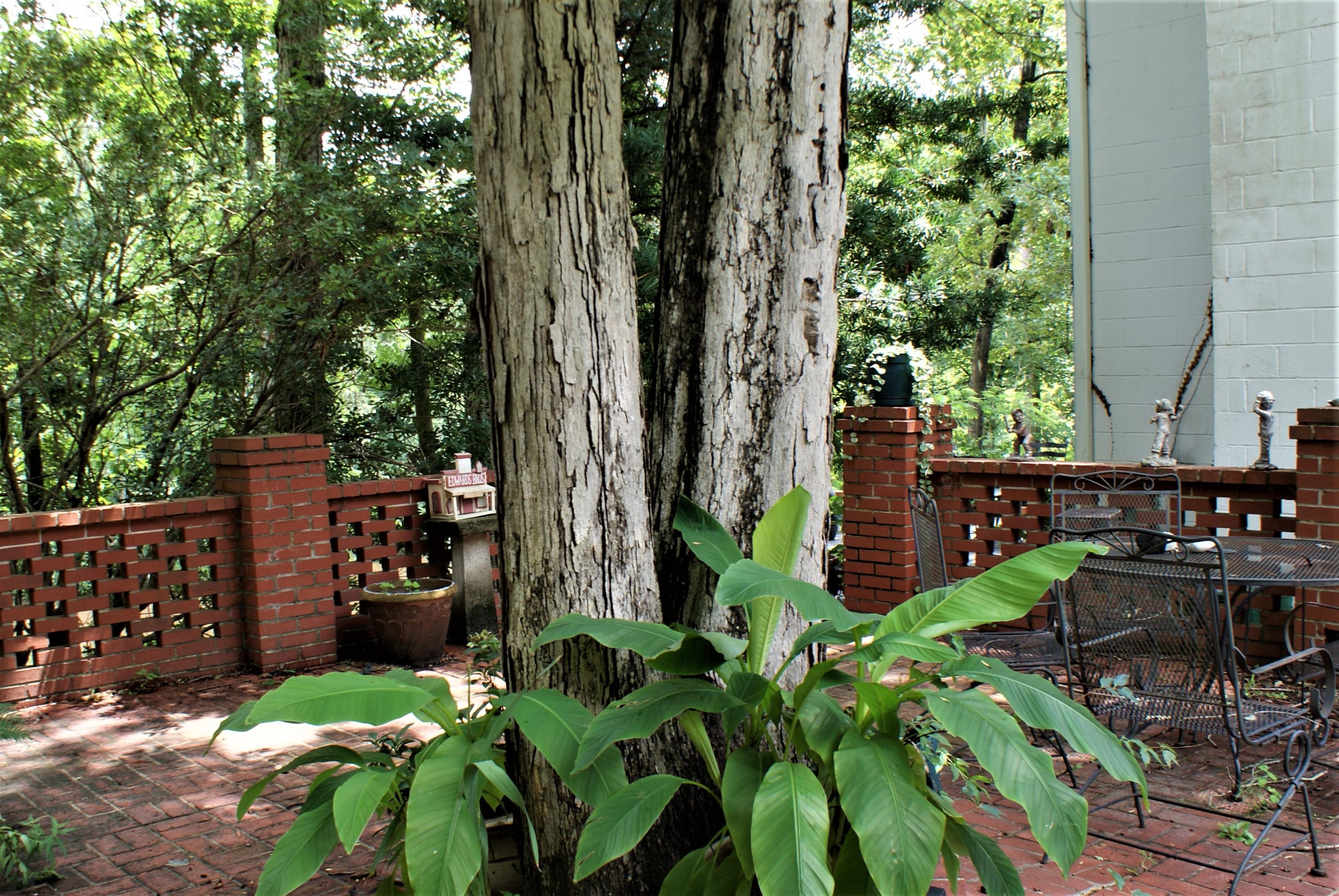 215 Bonanza Road Denmark, SC 29042 - Photo 22 of 41 Brick Patio