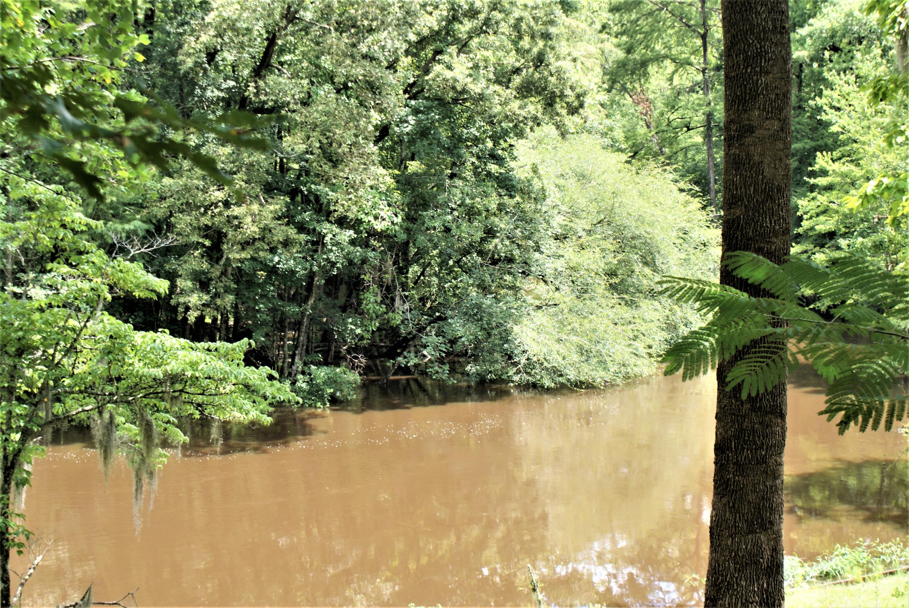 215 Bonanza Road Denmark, SC 29042 - Photo 24 of 41 River View