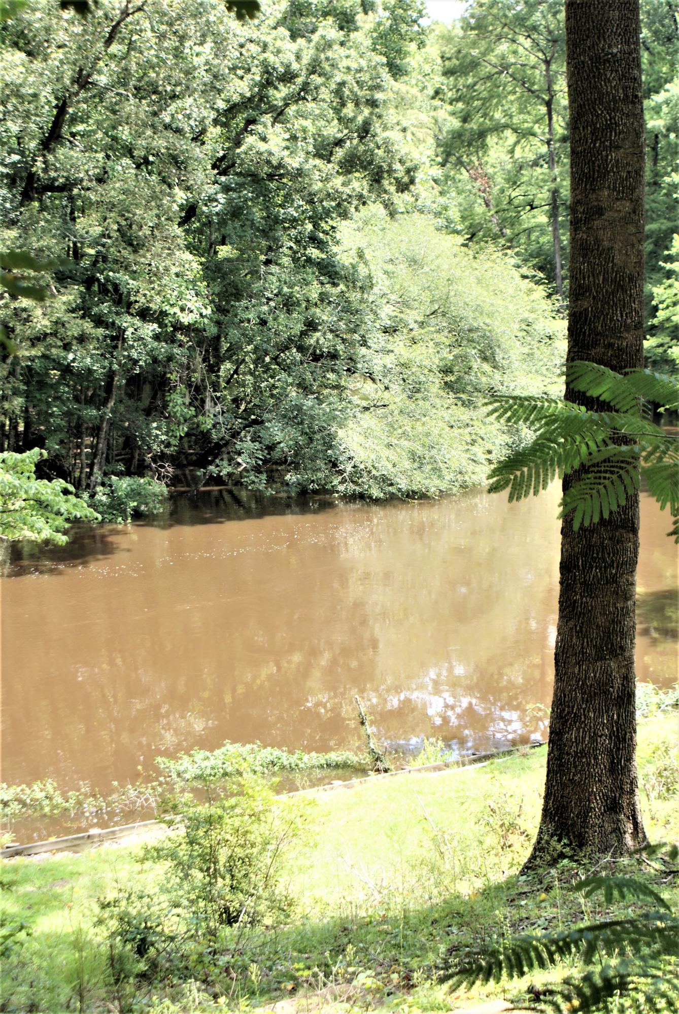 215 Bonanza Road Denmark, SC 29042 - Photo 25 of 41 River View