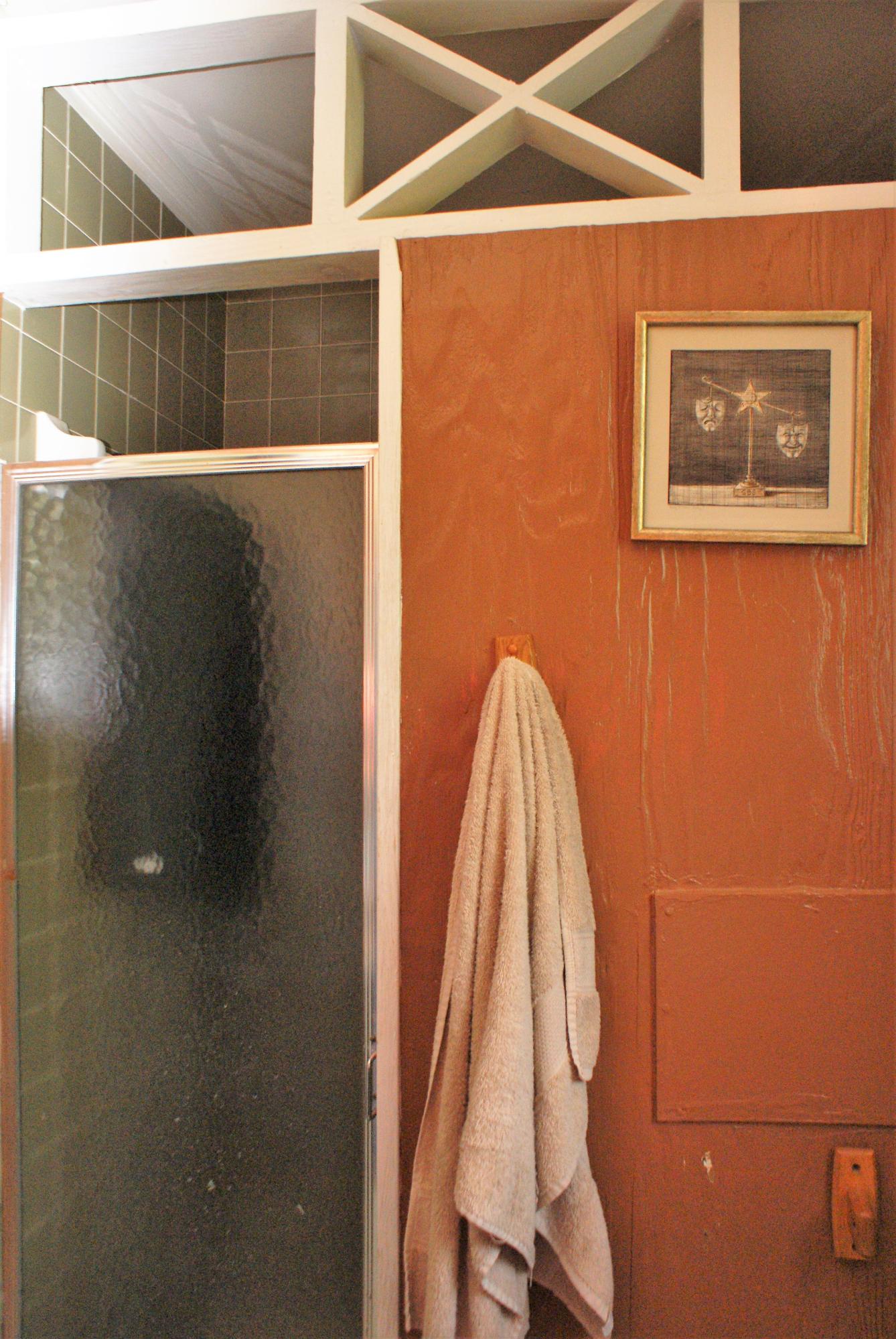 215 Bonanza Road Denmark, SC 29042 - Photo 29 of 41 Master Bath 1