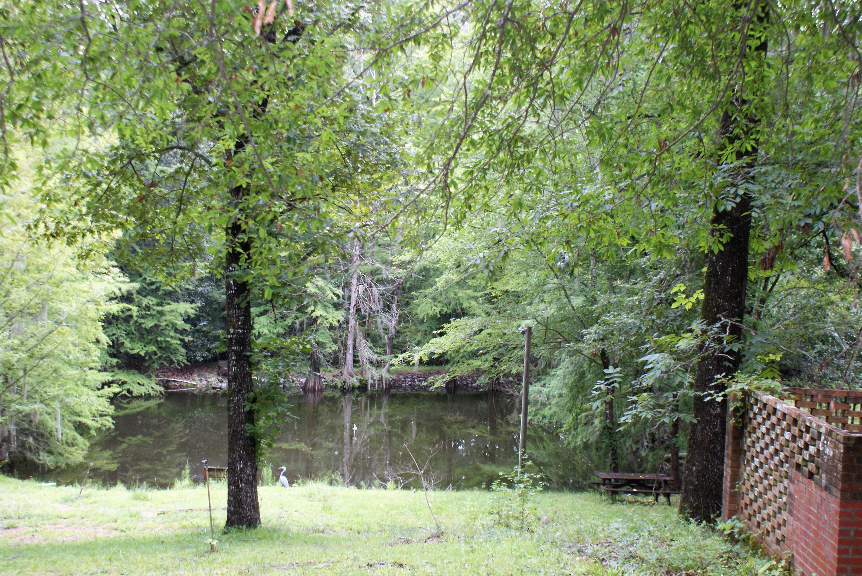 215 Bonanza Road Denmark, SC 29042 - Photo 36 of 41 River View