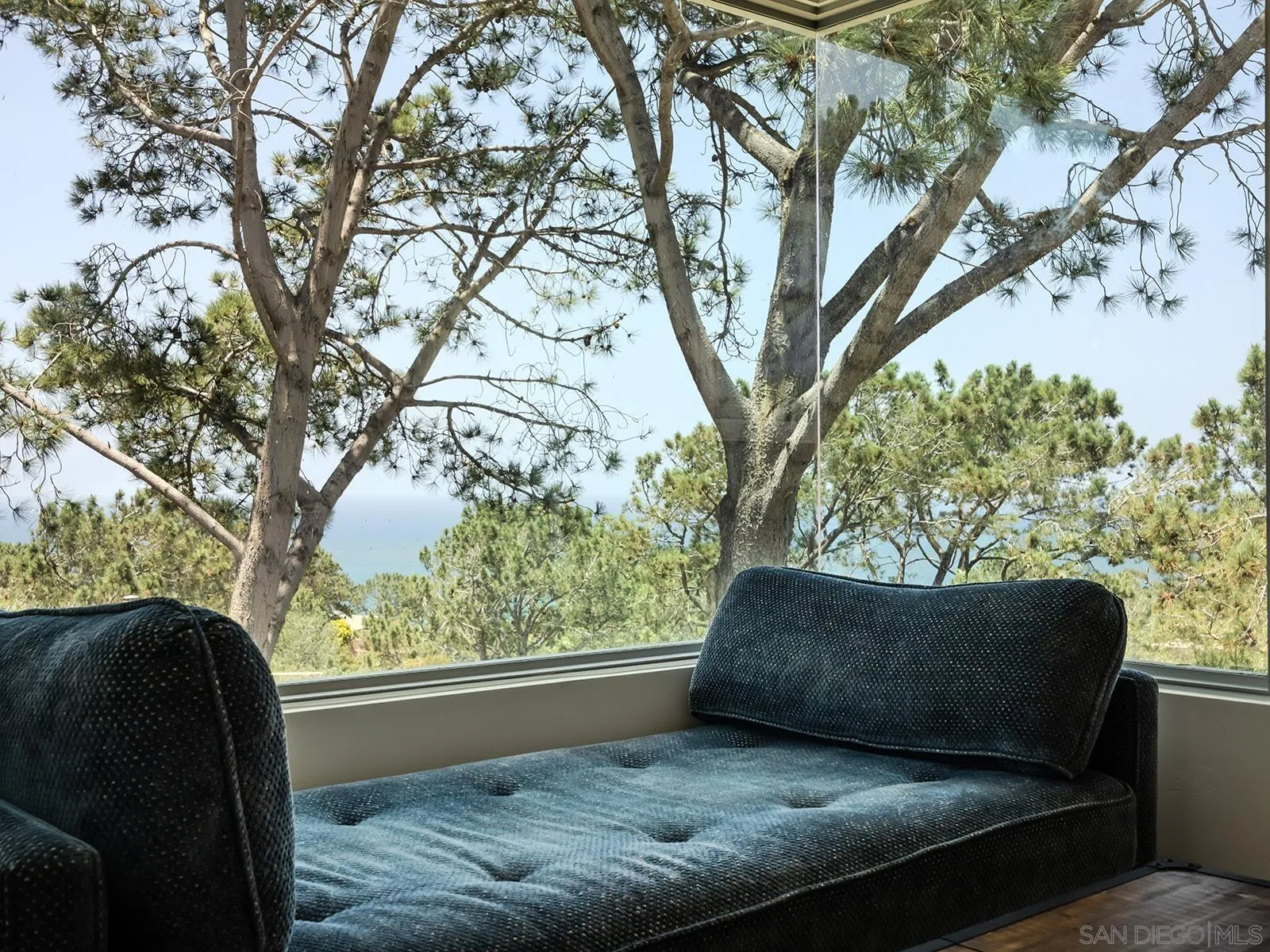 390 Hidden Pines Road Del Mar, CA 92014 - Photo 29 of 46 a view of a couches in the roof deck under the large tree