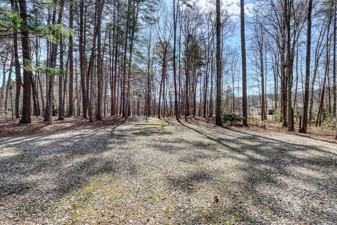 243 Allison Road Blairsville, GA 30512 - Photo 3 of 33 a view of outdoor space with trees