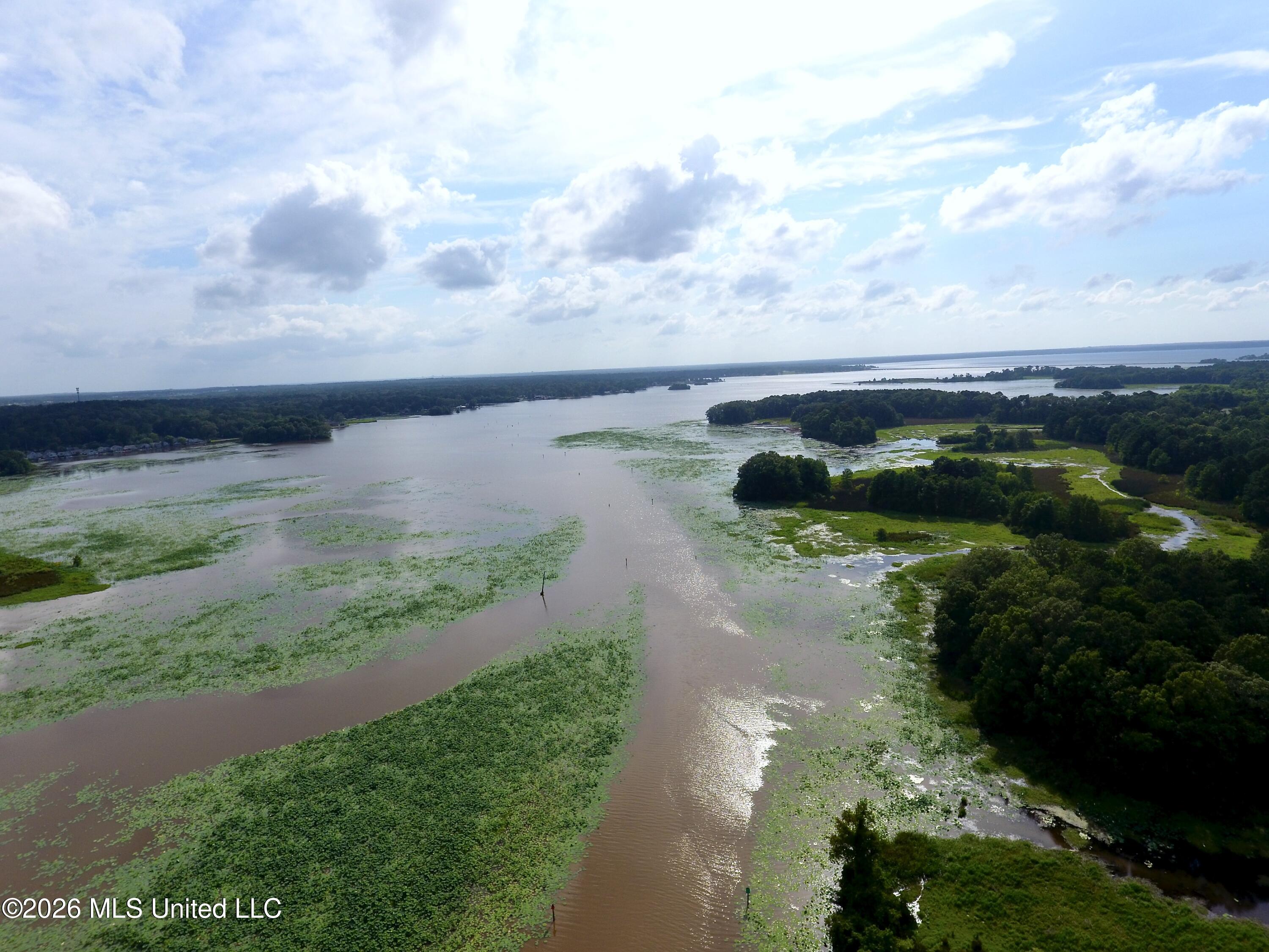 1109 Foxpoint Brandon, MS 39047 - Photo 77 of 82 DJI_0044