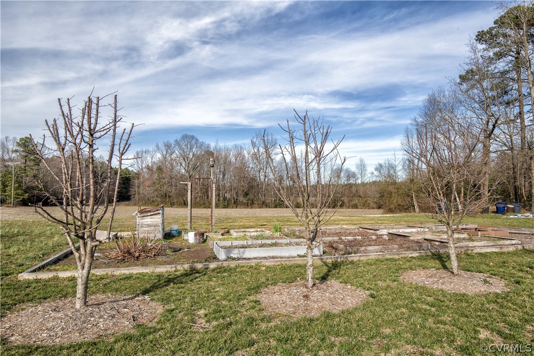 16840 Loving Union Road Disputanta, VA 23842 - Photo 35 of 35 a view of a yard with a big yard