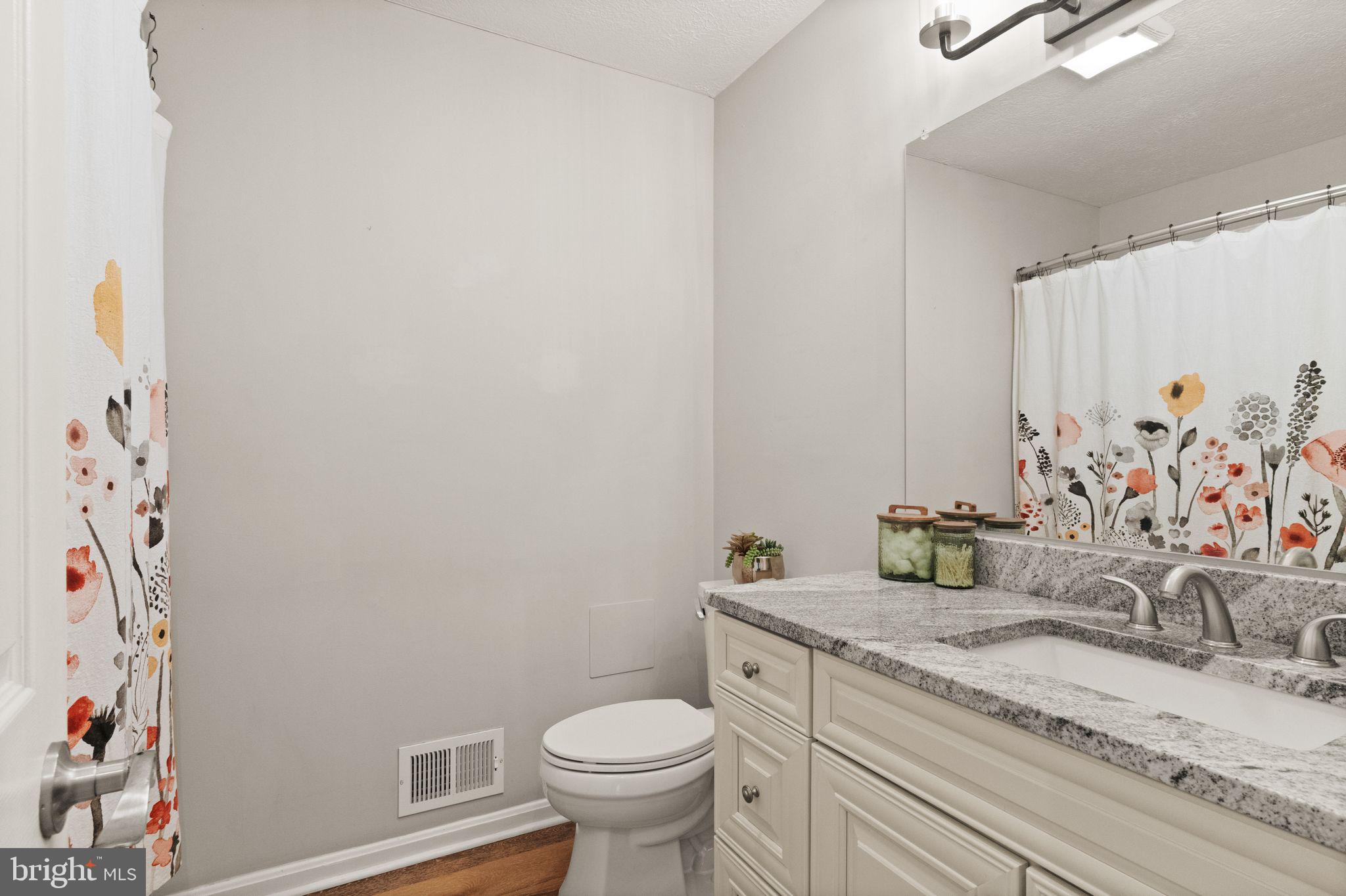 413 George Street Winchester, VA 22601 - Photo 28 of 54 a bathroom with a granite countertop sink and a toilet