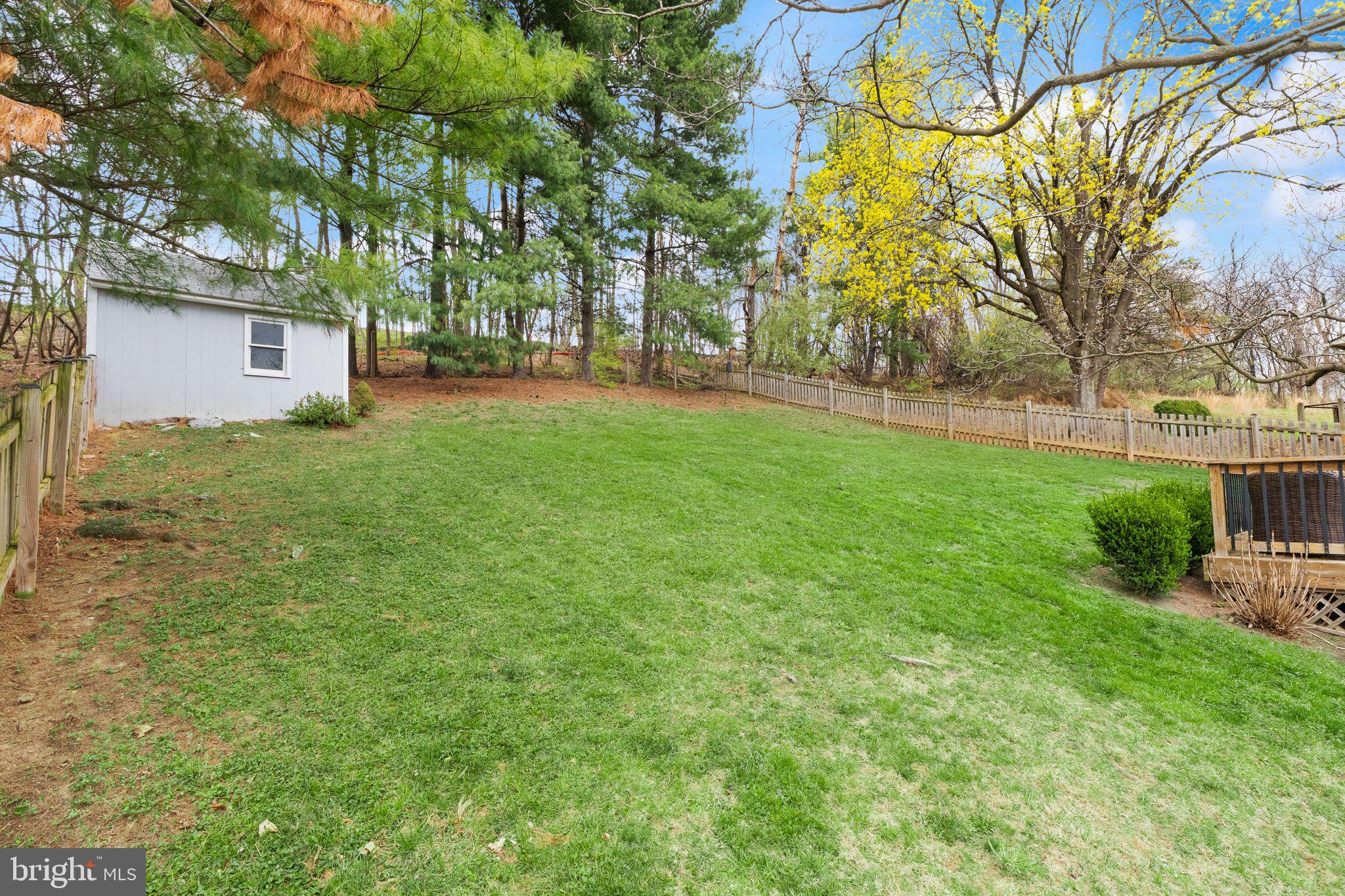 413 George Street Winchester, VA 22601 - Photo 46 of 54 a view of a yard with a tree