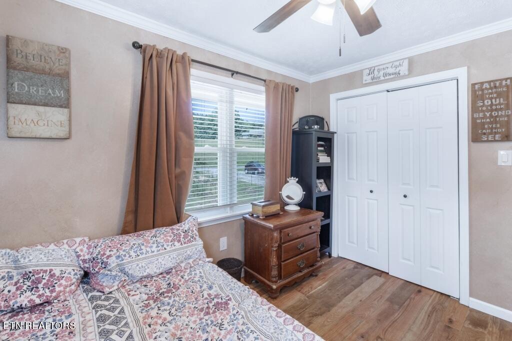 860 Shady Grove Road Lancing, TN 37770 - Photo 15 of 31 15-2nd Bed Room - 860 Shady Grove Road L