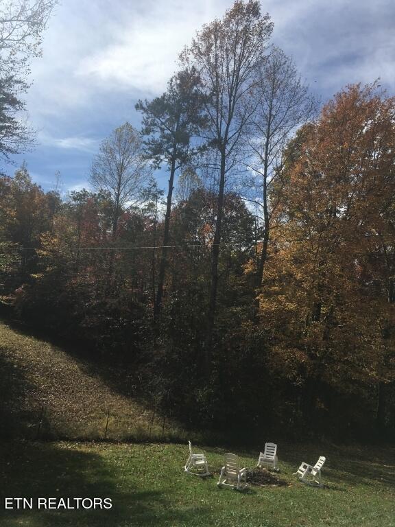 860 Shady Grove Road Lancing, TN 37770 - Photo 21 of 31 21-Photo 21