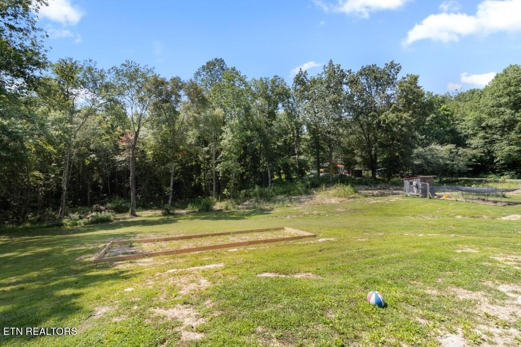 860 Shady Grove Road Lancing, TN 37770 - Photo 22 of 31 22-Side Yard - 860 Shady Grove Road Lanc