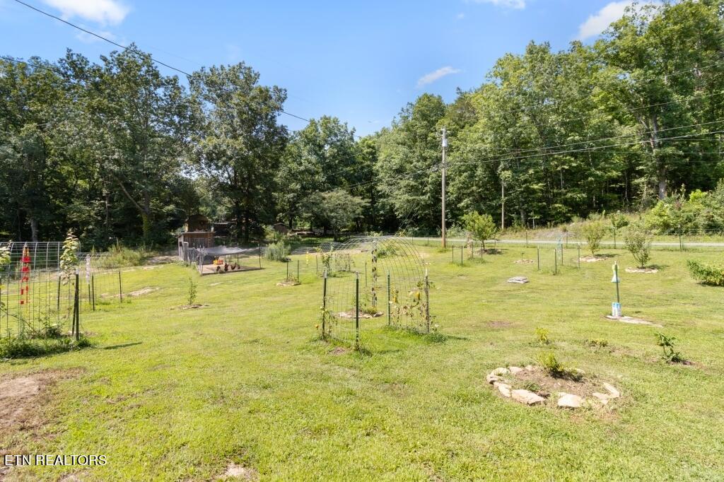 860 Shady Grove Road Lancing, TN 37770 - Photo 24 of 31 24-Front Yard - 860 Shady Grove Road Lan