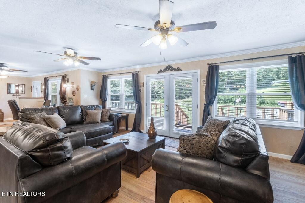 860 Shady Grove Road Lancing, TN 37770 - Photo 7 of 31 07-Living Room - 860 Shady Grove Road La